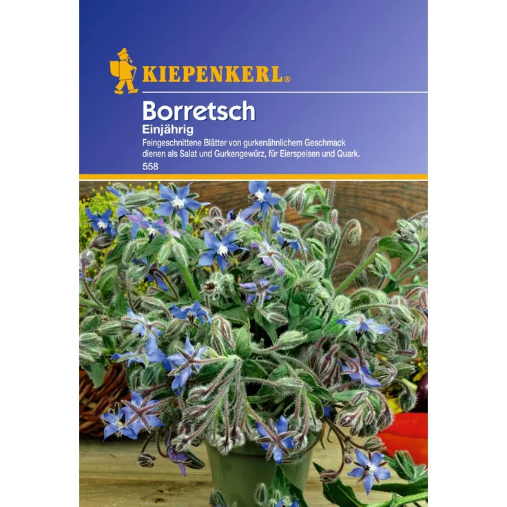 Kiepenkerl Borretsch Gurkenkraut einjährig