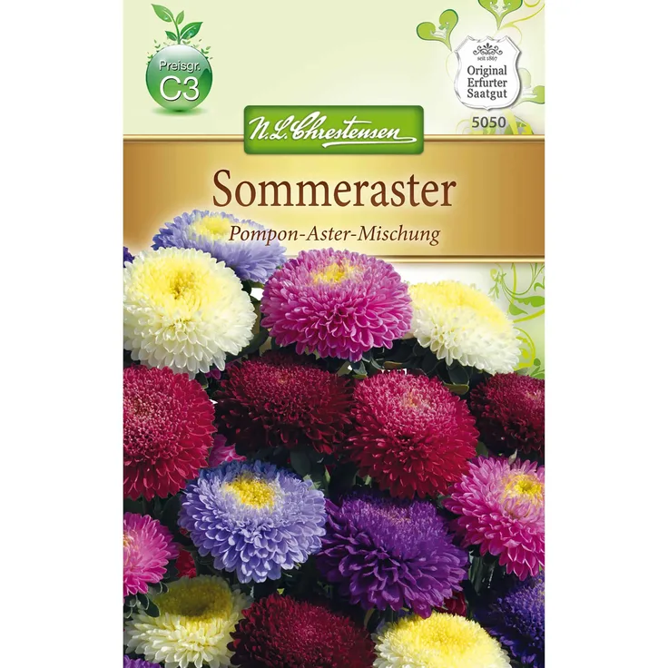 N.L. Chrestensen istephus Sommeraster, Pompon-Aster, Mischung