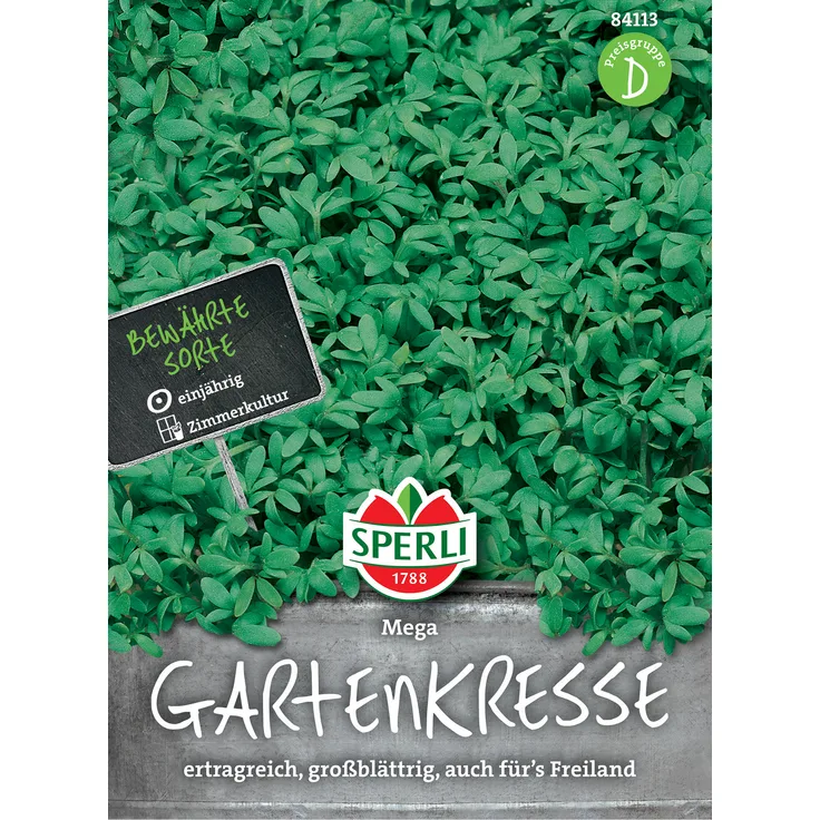 Sperli Gartenkresse Mega, großblättrige Gartenkresse ist eine einjährige vitaminreiche Gewürzpflanze
