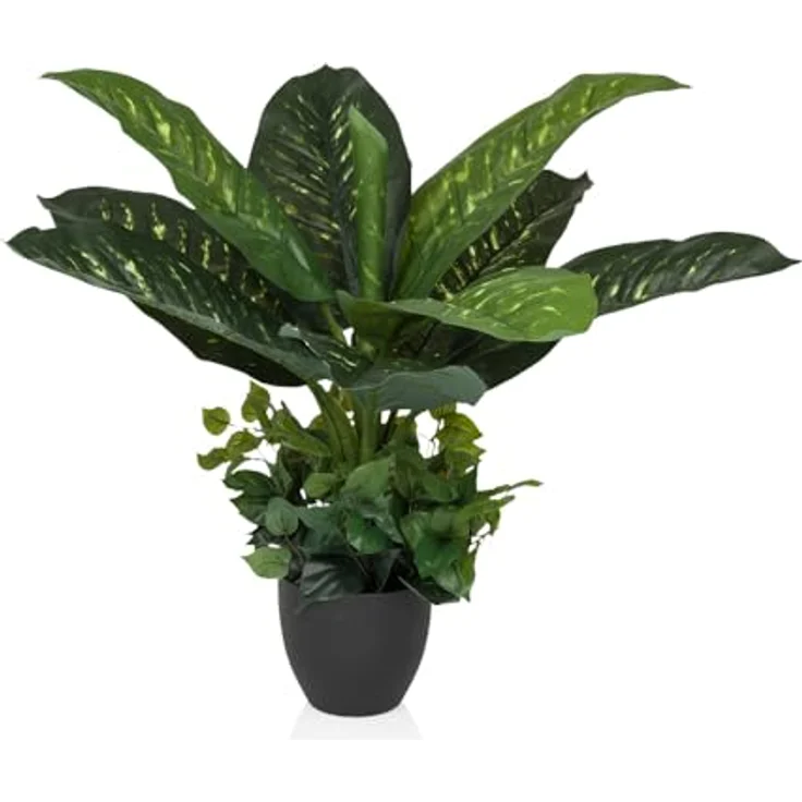 hjh OFFICE Kunstpflanze 80cm DIEFFENBACHIA Tropische Zimmerpflanze künstlich, realistisches Aussehen, geruchsarm, schwarzer Topf – Bild 1