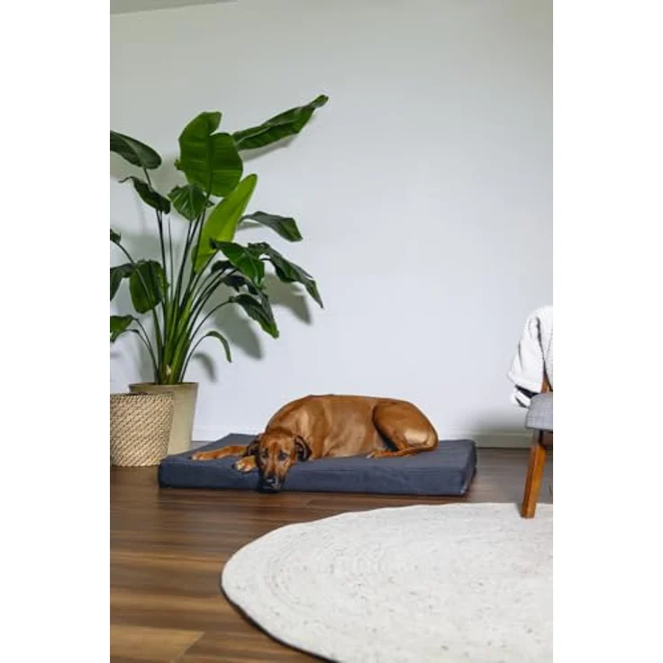 Beeztees Zira Orthopädisches Hundebett, Dunkelgrau, 120x80x10 cm mit Memory-Schaum Polsterung – Bild 4