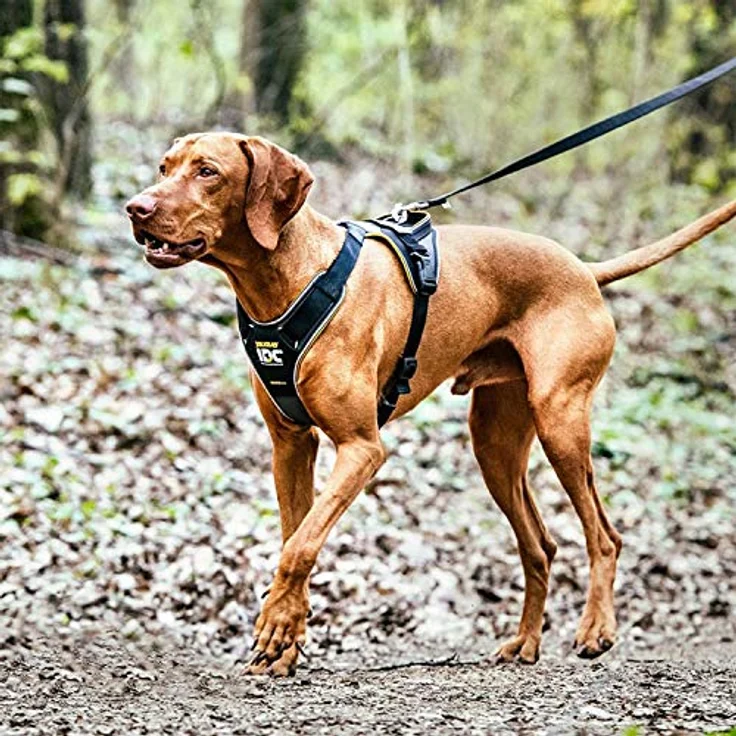 JULIUS K-9 IDC Longwalk Geschirr, Blau-Grau, Größe S - Innovatives DuoFlex-System, bequem und für lange Ausflüge geeignet – Bild 2