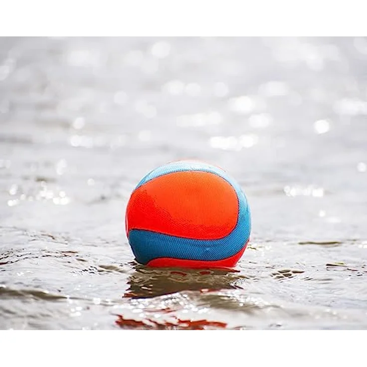 Chuckit! Amphibious Mega Ball Schwimmender Hundeball Hohe Sichtbarkeit Wasser Apportieren Spielzeug für Hunde – Bild 4