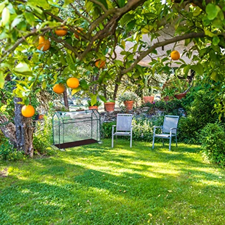 Relaxdays Foliengewächshaus, PVC-Folie, aufrollbare Tür, HxBxT: 92 x 124 x 42 cm, Frühbeet mit Stecksystem, transparent – Bild 5