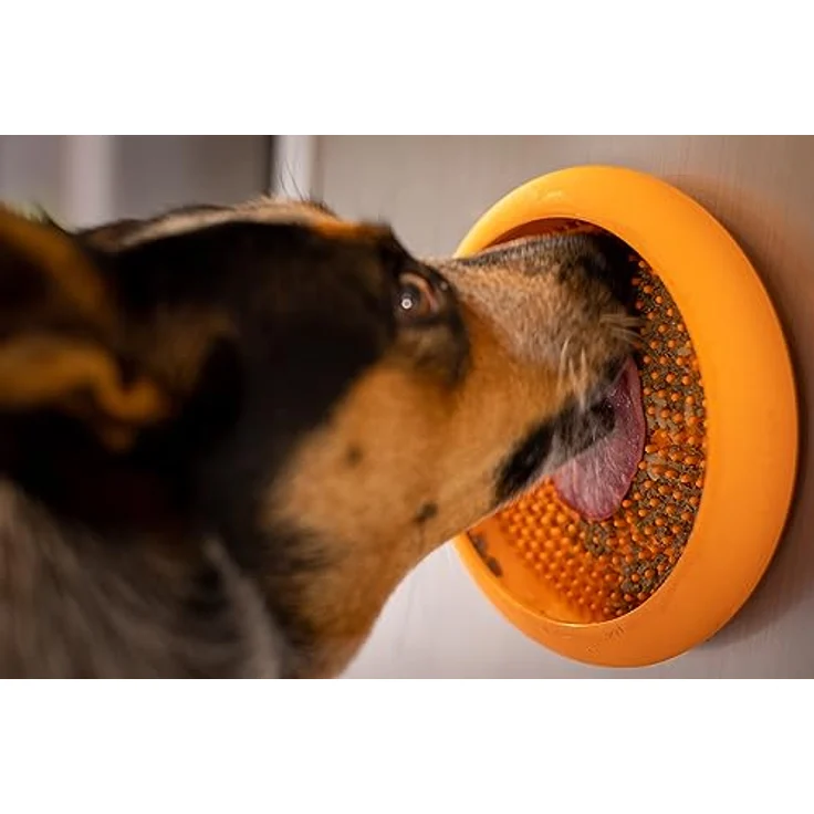 LickiMat UFO – Ablenker für Baden, Duschen und Pflegen, Naturkautschuk, große Noppen, weiche und flüssige Leckereien, einzigartiges Design für Futter und Dribbling, Futternapf – Bild 4