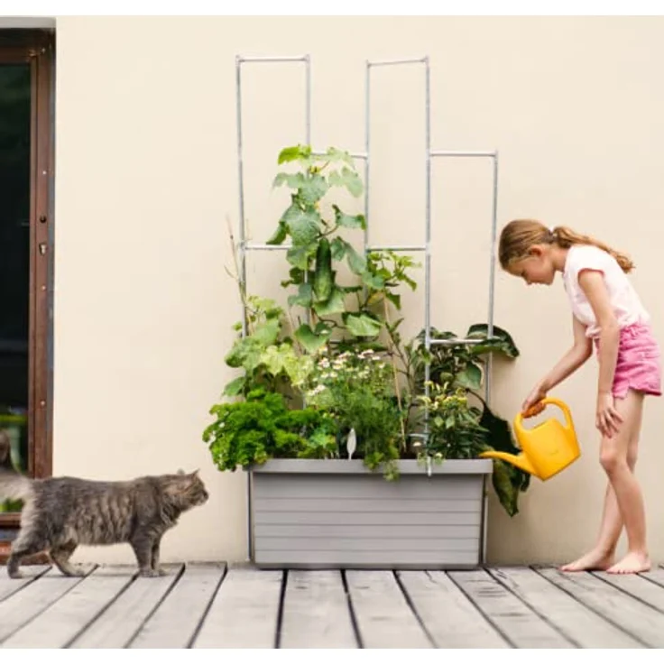 Plastia Gartengießkanne mit dem Brausekopf, 2 Liter - Gießkanne aus Hochwertigem Kunststoff - Handliche Giesskanne für Innen- und Außenbereich - Ideal für Bewässerung für Zimmerpflanzen, Grün – Bild 5