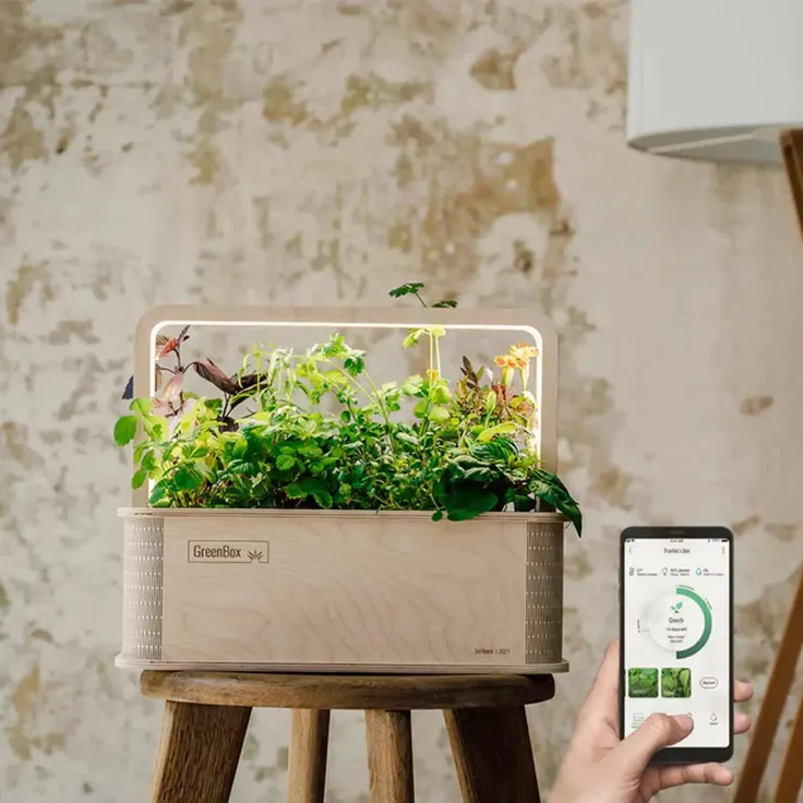 BerlinGreen GreenBox - Starter Deluxe Bundle, kleiner, intelligenter Indoor-Kräutergarten