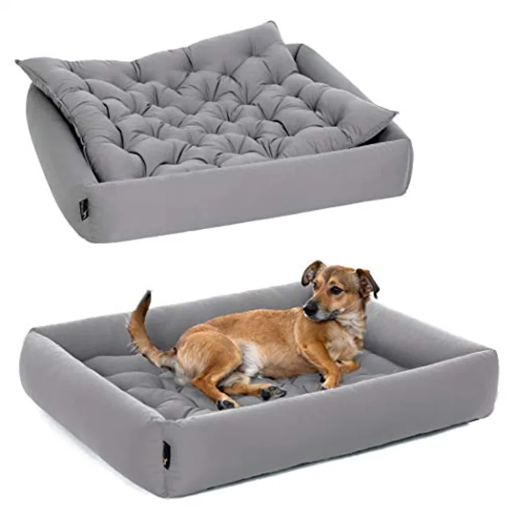Doctor Bark Pointer | Hundebett mit Hundekissen - orthopädisch, waschbar, bequem (XXL - 100x90 cm, Hellgrau)