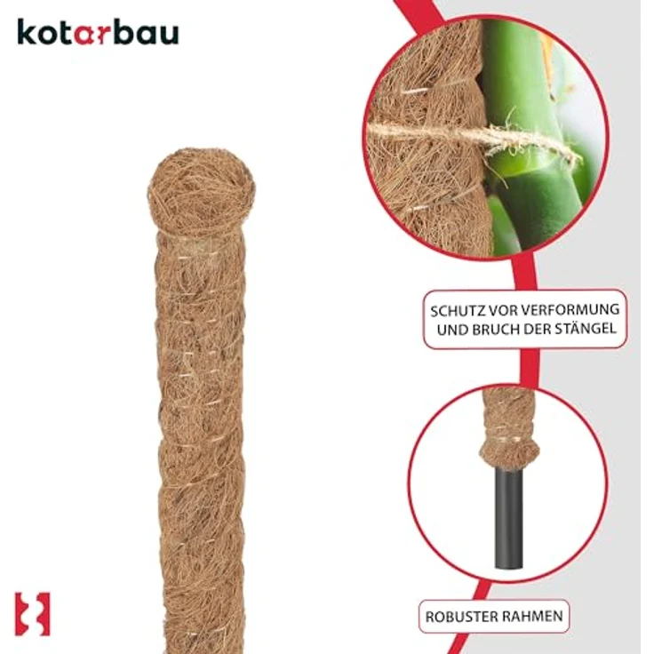 KOTARBAU® 2er Set Moosstab für Monstera, Kokos Natural, ⌀ 3,2 x 80 cm, Rankhilfe für Pflanzen, stabil und dekorativ – Bild 4