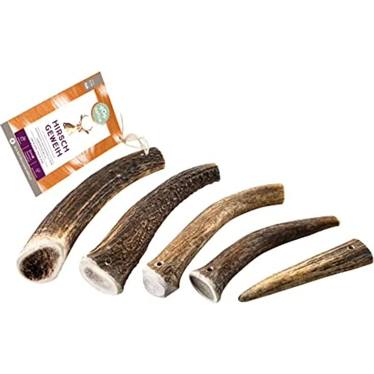 naftie Hirschgeweih Geweihstück ganz - Geweih Kau-Knochen - XS für Welpen und kleine Hunde - mineralstoffreich, geruchsarm & langlebig – Bild 3