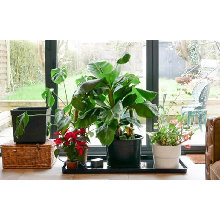 AutoPot AP400 easy2go Urlaub-Bewässerungs-Kit Blau Bewässerungszubehör – Bild 6
