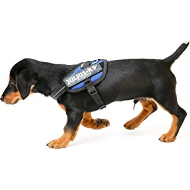 JULIUS K-9 IDC Powergeschirr, Größe: 3XS/Baby 1, Blau - Innenfutter, bruchsichere Fixierungsschnalle, nachtleuchtende Seitenbeschriftung