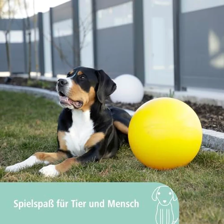 Kerbl Hundespielball Ø 30 cm – Bild 3