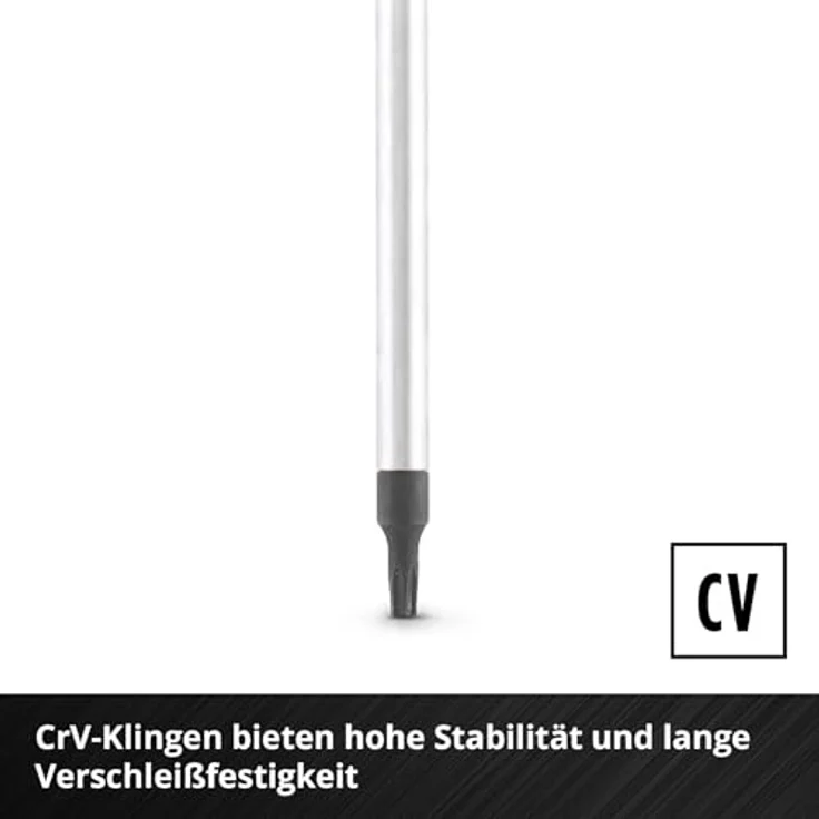 Einhell Schraubendreher-Set 5-tlg. T-Profil, CrV-Klingen, magnetische Spitze, ergonomische Griffe, Profilgrößen T10/T15/T20/T25/T30 – Bild 3
