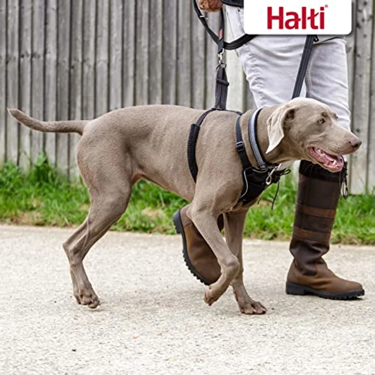 Company of Animals HALTI No Pull Anti-Zug Geschirr, Größe Groß - Gepolsterter Brust- und Beingurt, Reflektierendes Gurtmaterial, Einfache Anpassung und Benutzung – Bild 4