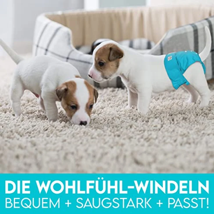 HUND IST KÖNIG® Hundewindeln für Hündinnen [3 STK] Saugstarke Läufigkeitshose für Hündinnen 3-Fach justierbar für festen Sitz - Umweltfreundliche Hunde Windeln bei Läufigkeit & Inkontinenz – Bild 2