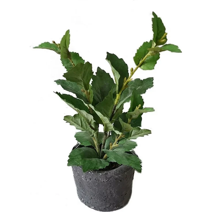 HTI-Living Kunstblume Grünpflanze im Topf Flora unbekannt, Höhe 27 cm, naturgetreu nachgebildet
