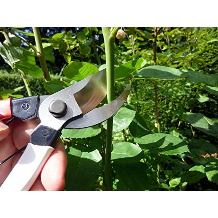 Okatsune 103 Gartenschere für allgemeine Zwecke – Bild 9