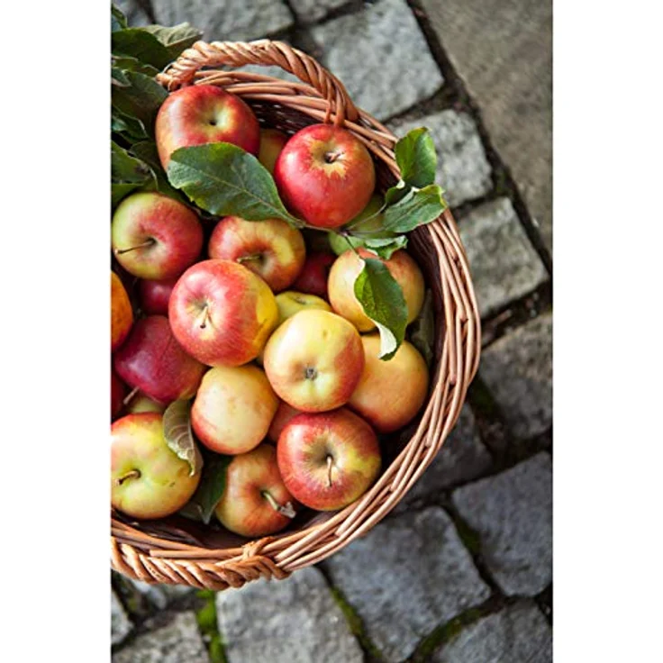 Dehner Weidenkorb, Höhe 25 cm, Ø 35 cm, Weidengeflecht – Bild 7