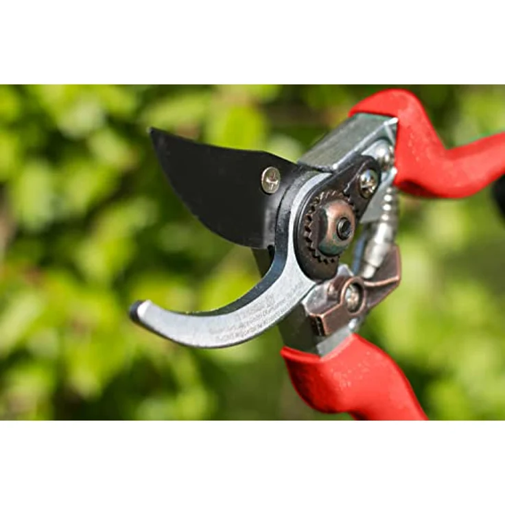 Meister Gartenschere mit Bypass-Klinge - Antihaft-Beschichtung - Geeignet für weiches Gehölz und Frischholz - Für präzise Schnitte - Rosenschere - Rebschere - Floristenschere - Bypass-Schere - 9719000 Rechtshänder mittelgroß – Bild 3