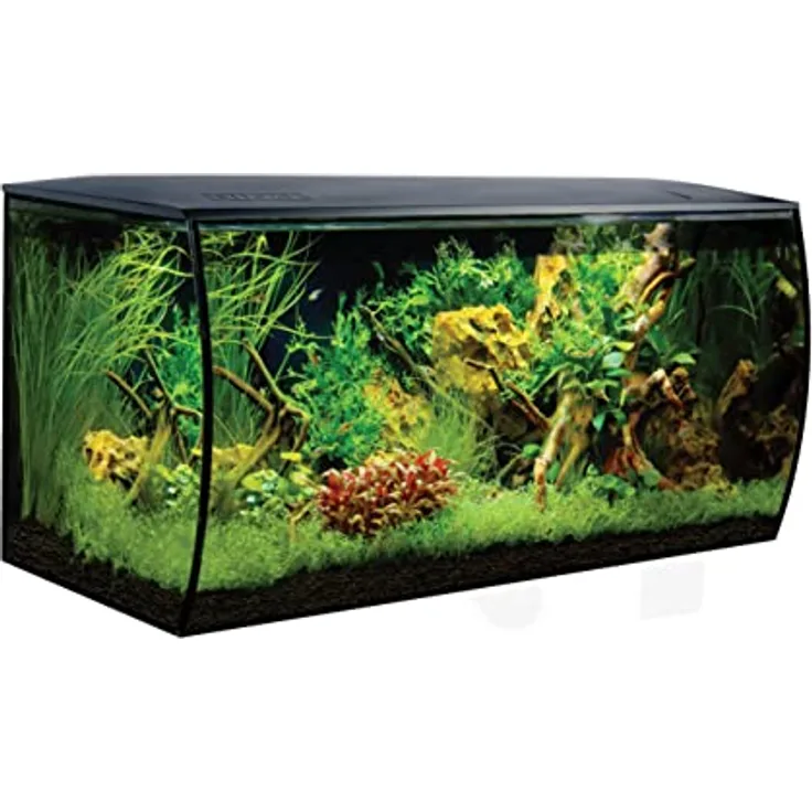 Fluval Flex Aquarium 123L, Süßwasser Aquarium, schwarz