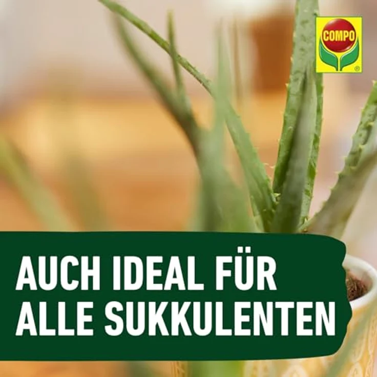 Compo Kakteendünger u. Bonsaidünger250 ml – Bild 7