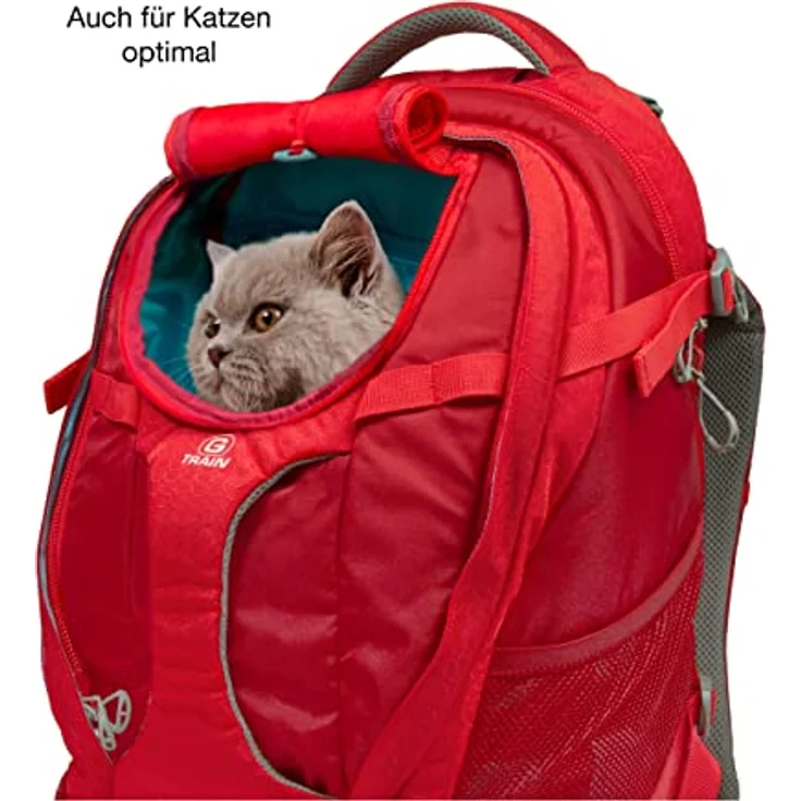 Kurgo G-Train Rucksack, Mit integriertem Hundefach, Wasserfester Boden, Mit Flaschenhaltern, Für Haustiere bis 11 kg, Rot, 33 x 53 x 25 cm – Bild 5