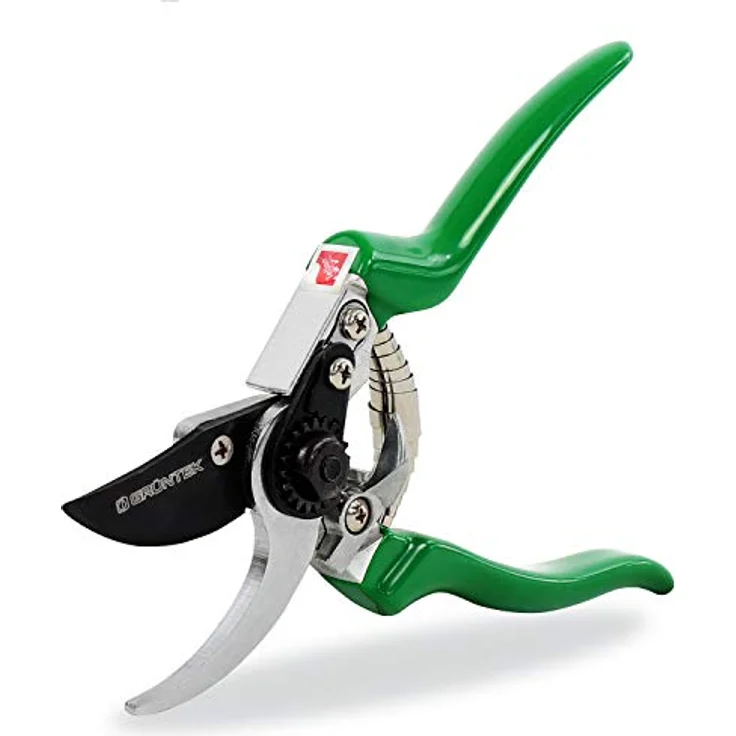 GRÜNTEK Gartenschere FALKE Teflon Baumschere, Klinge aus japanischem SK5 Stahl, Bypass Pflanzenschere 215 mm Secateurs, Ergonomische Garten-Pflanzen-Blumenschere, grün – Bild 1