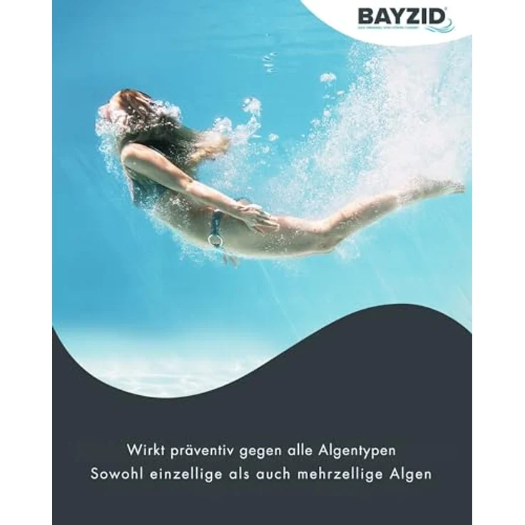 1 x 5 Liter BAYZID Algenvernichter für Pools in praktischen Kanistern – Bild 3