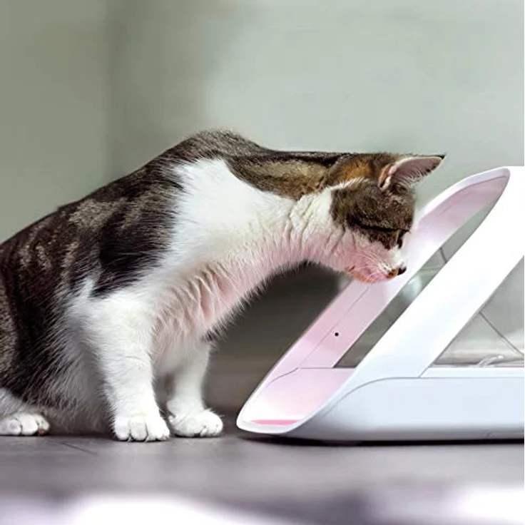 SureFeed Connect (0.40 l) Futternapf mit integrierter Wiegefunktion, App-Steuerung und RFID-Erkennung – Bild 2