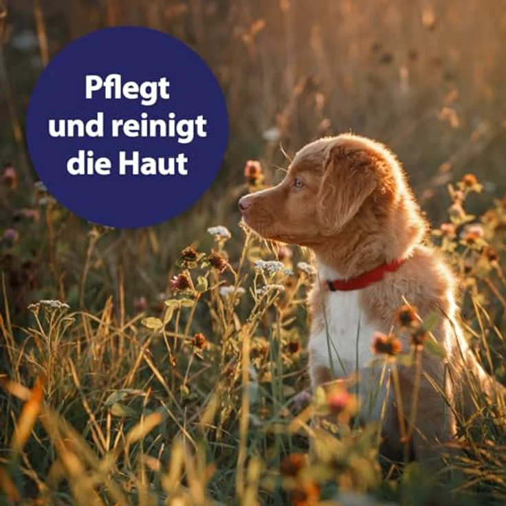 Canosept Wundspray, 75 ml für Hunde, optimale Wundversorgung und schmerzfreie Anwendung – Bild 5