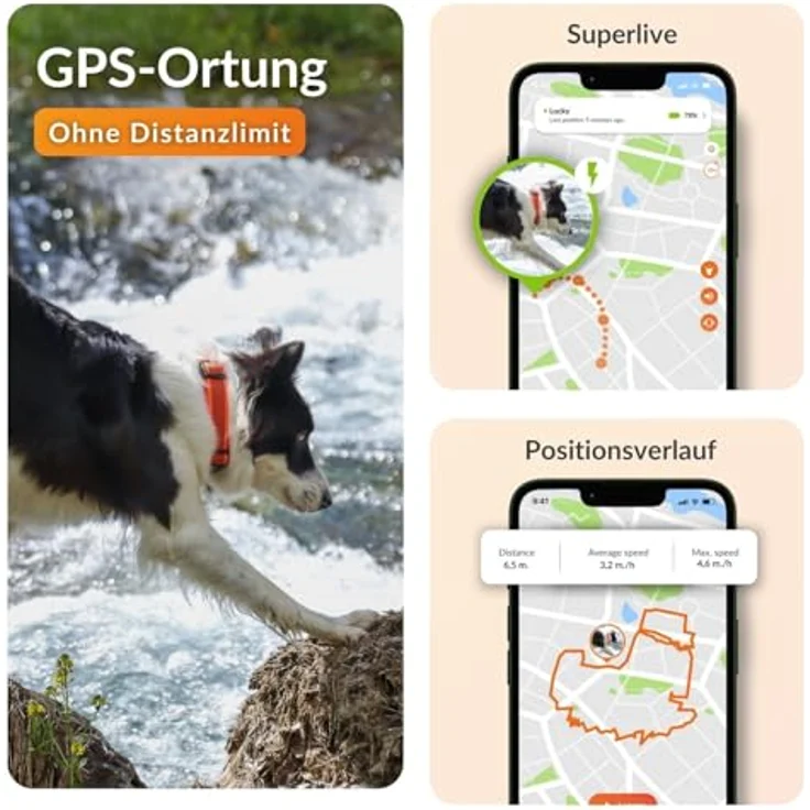 Weenect Hund XT, GPS-Halsband mit XL-Antenne, wasserdicht, integriertes Julius-K9 Halsband in Orange, Abonnement erforderlich – Bild 3