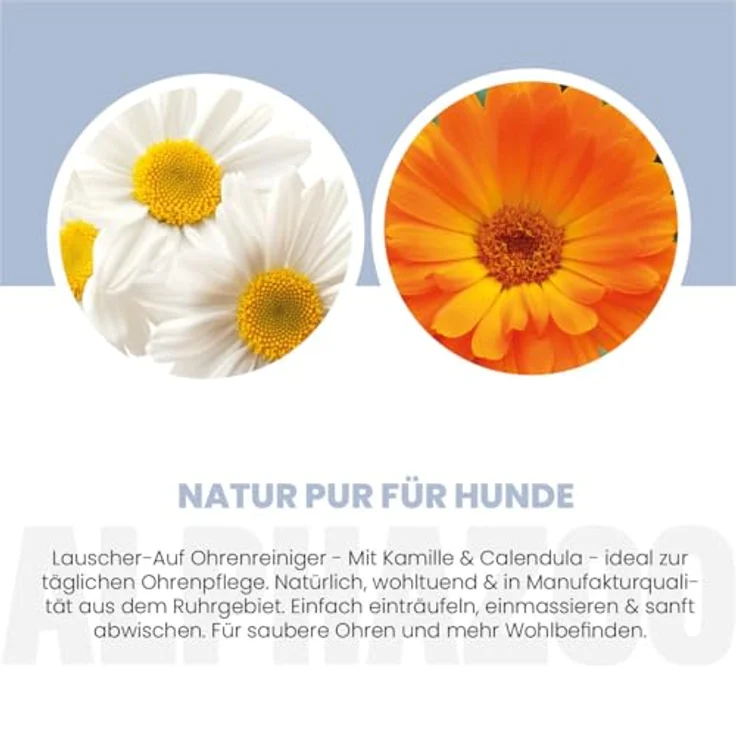 alphazoo Lauscher-Auf Ohrenreiniger für Hunde, 100 ml Natur-Ohrentropfen gegen Entzündungen, Milben, Pilz & Juckreiz, sanfte Schmalz- & Geruchsentfernung – Bild 4