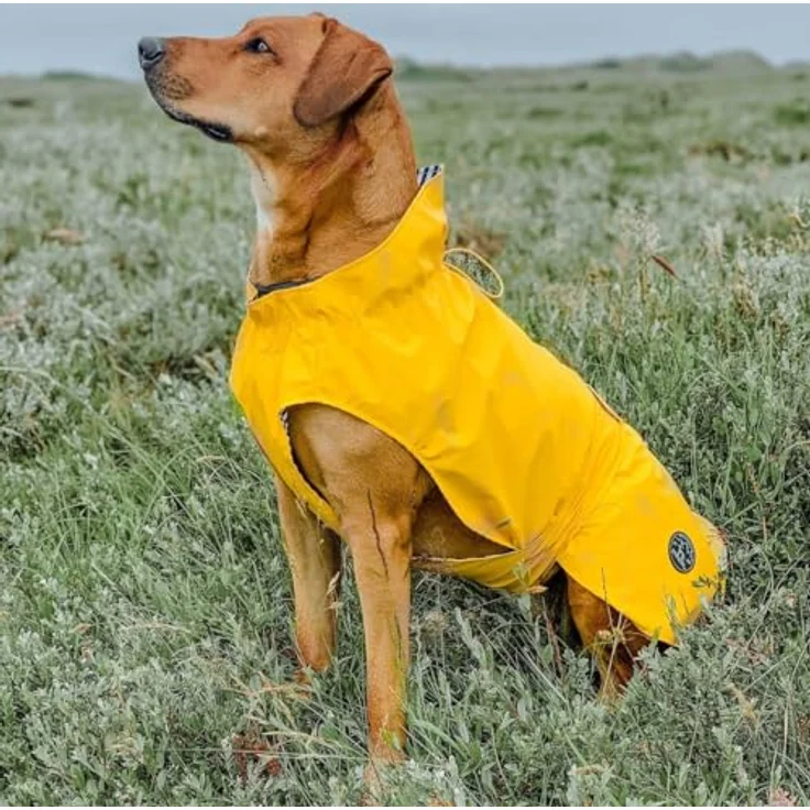 HUNTER Hunde-Regenmantel Milford, 75, gelb - mit Geschirr- und Halsbandöffnung – Bild 2