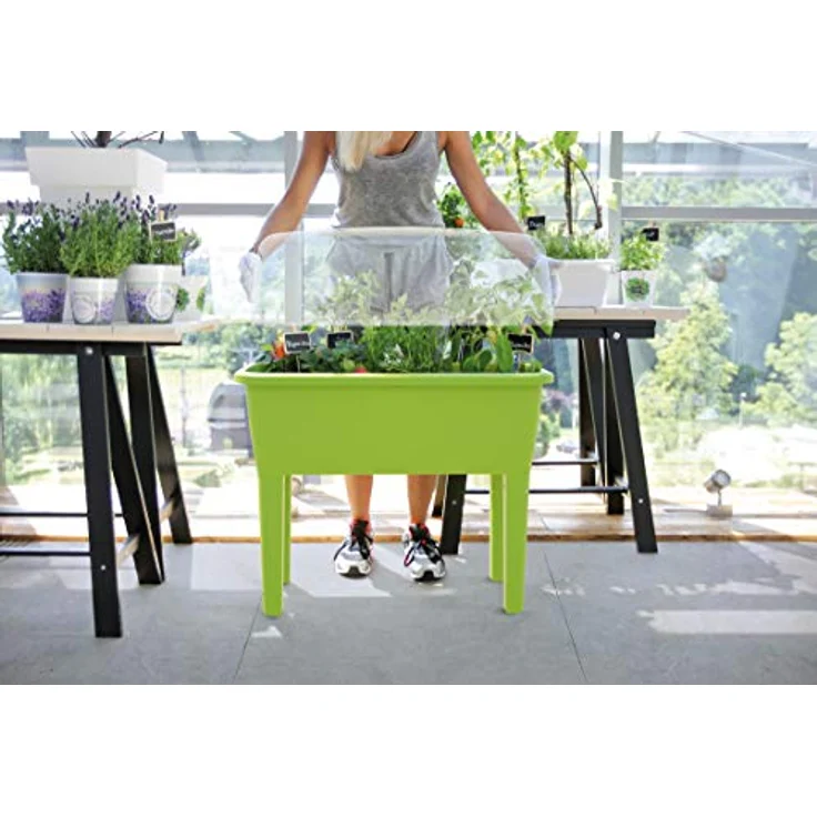 Prosperplast Garden 2 in 1 Hochbeet-Gewächshaus 77x38x82 cm, GRÜN - 52L Fassungsvermögen, transparenter Deckel, gute Belüftung – Bild 3