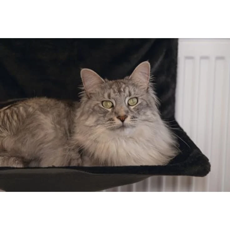 Beeztees Tierbett Hängematte Sleepy schwarz, Plüschbezug für extra weiches Liegegefühl – Bild 4