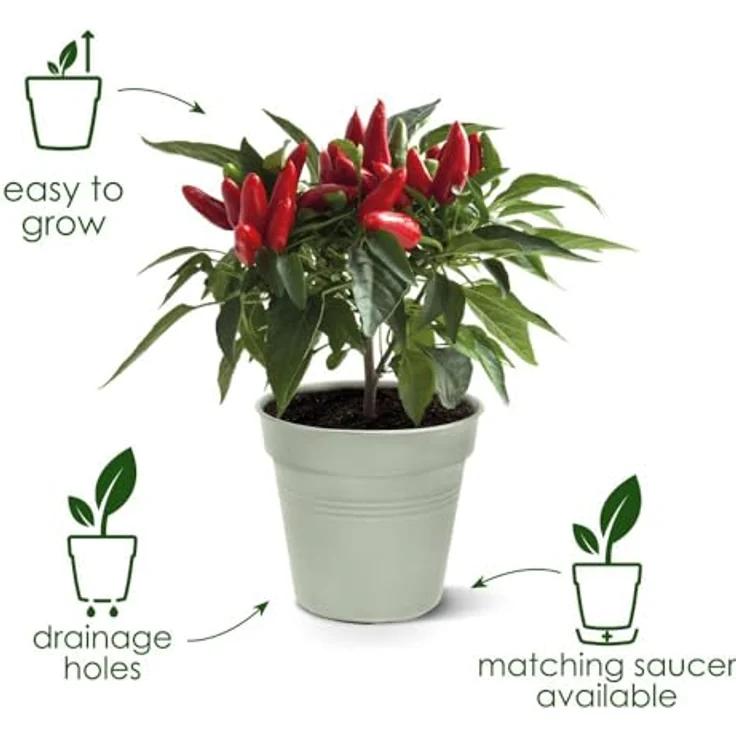 Elho Anzuchttopf Green Basics 11, Pflanzgefäß aus Kunststoff, schwarz, 0.6 l Fassungsvermögen, mit Löchern – Bild 2