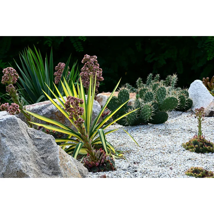 HaGa Gartenvlies 80G/m² In 2M Br (Meterware) Unkrautvlies Schutzvlies Gartenflies – Bild 8