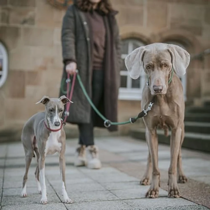 HUNTER Verstellbare Führleine Freestyle (dunkelgrün, 08/200) - Strapazierfähiges Polyamid, 3-fache Verstellmöglichkeit, Kappen aus Leder, pflegeleicht – Bild 5