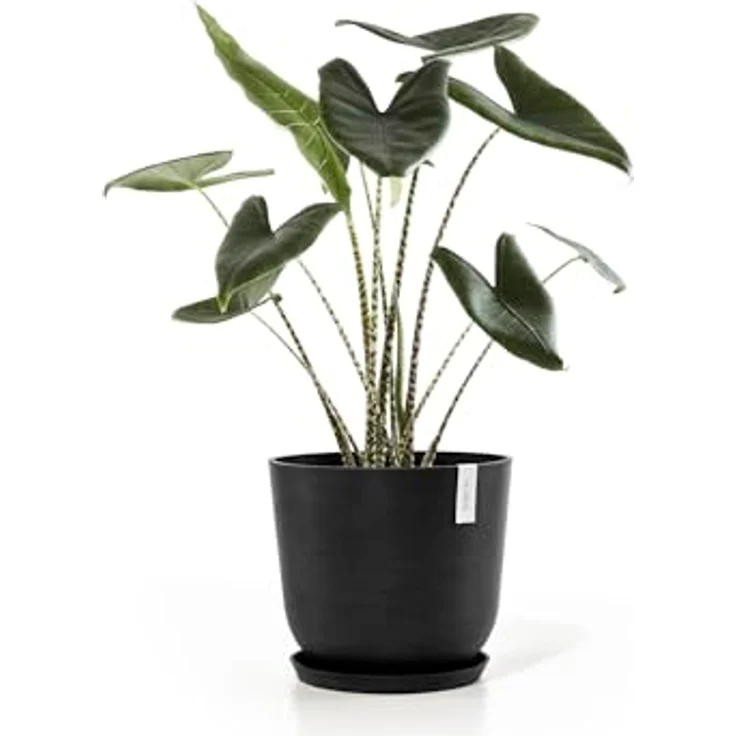 Ecopots Decolines 45 cm Ø Schwarze Kunststoff-Blumentöpfe | Wetterfeste Blumentöpfe für den Außenbereich, geeignet als Balkon- und Terrassentöpfe | Aus recyceltem Kunststoff, designed für 10 Jahre Nutzung – Bild 9