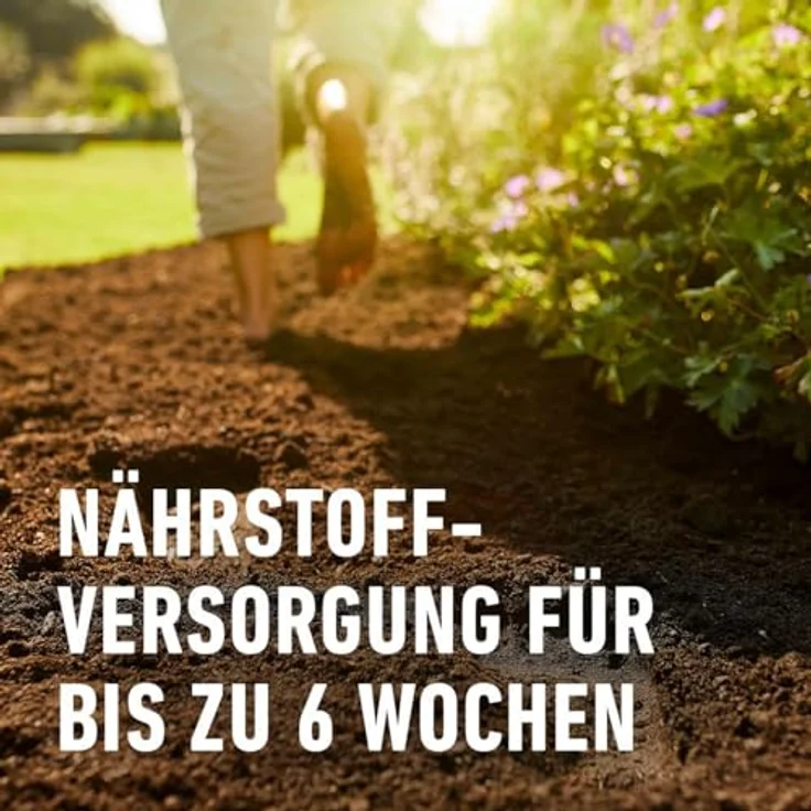 COMPO BIO Anzucht- und Kräutererde Zucht Erde 100% torffrei 20 L 28225 – Bild 4