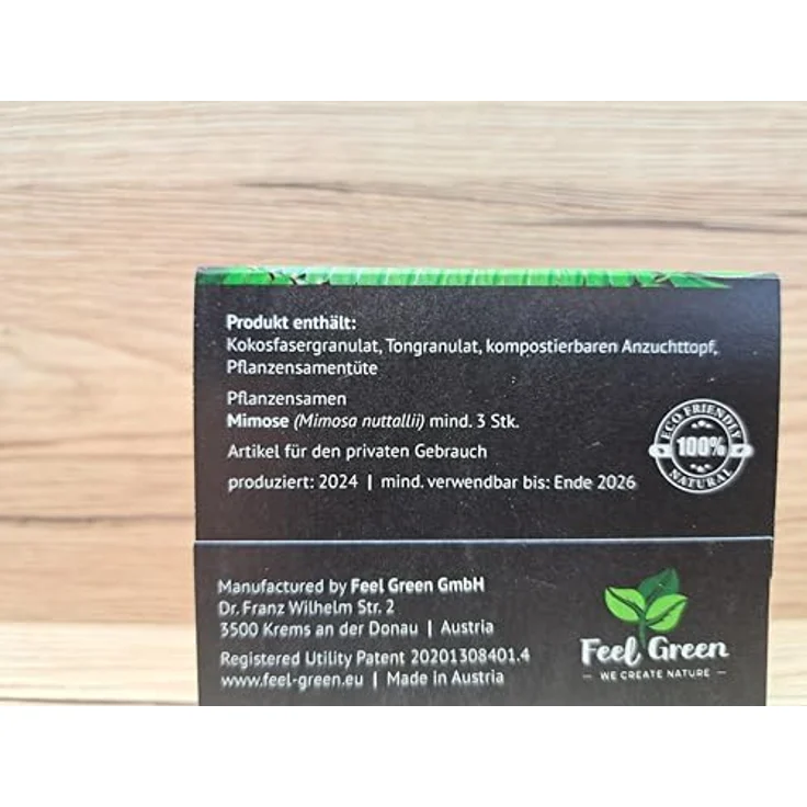 Feel Green Ecocube Mimose, Anzuchtset mit berührungsempfindlichen Blättern, Nachhaltig im Holzwürfel, made in Austria – Bild 2
