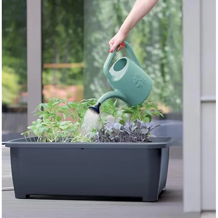 Prosperplast Hochbeet Frühbeet Bloomo mit abnehmbaren Beinen und Deckel 78 x 82 x 37 cm, aus robustem Kunststoff, Anthrazit, für optimales Pflanzenwachstum – Bild 3