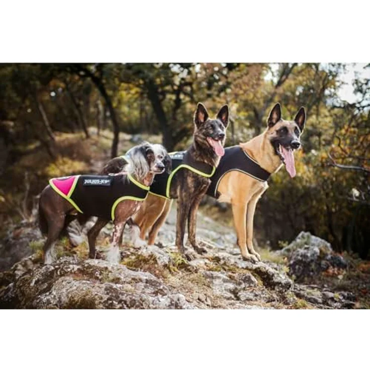 Julius-K9 Hundemantel Neopren, wasserdichte Hundejacke in schwarz mit reflektierenden Elementen – Bild 5