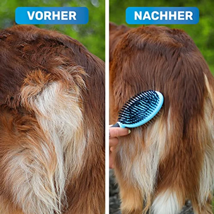 BluePet "DoppelDecker" 2in1 Hundebürste für Langhaar & Kurzhaar - Auch für Welpen & Katzen - Glätten, Entwirren, Ausbürsten - Allround-Talent für die tägliche Fellpflege – Bild 3