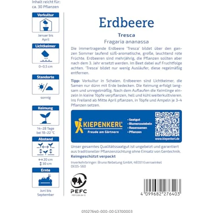 Kiepenkerl Profi-Line Obstsamen Erdbeere Tresca, kompaktwachsende Erdmbeere mit großen aromatischen Früchten, Erntezeit Juli – Bild 2