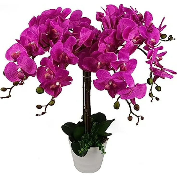 Leaf Design UK Realistische künstliche Orchideen-Blumen-Display im Topf