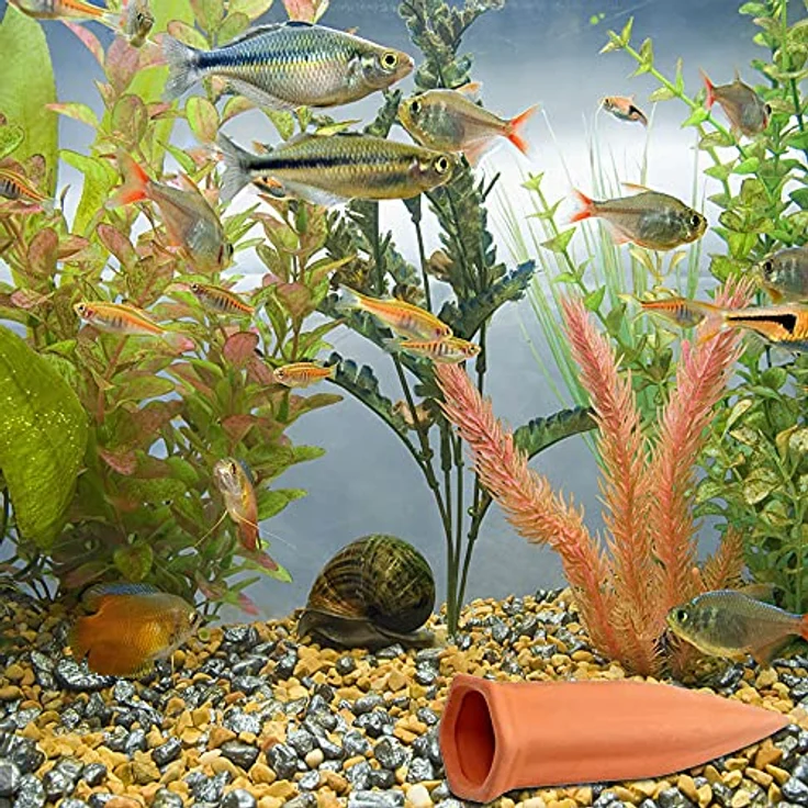 WUJUN Terrakotta Pflanzenbewässerungspfähle, automatische Bewässerungskugeln für Innen- und Außenpflanzen, 10 Stück für 7-10 Tage Wasserversorgung – Bild 5