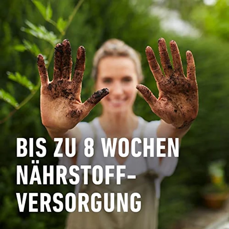 COMPO Cactea Kakteen- und Sukkulentenerde 5 Liter – Bild 4