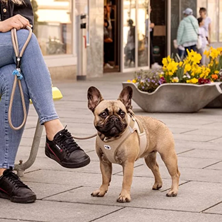 Curli Vest Harness Clasp Cord, Hundegeschirr für kleine und mittelgroße Hunde, ergonomische Passform, braun, Größe L – Bild 5